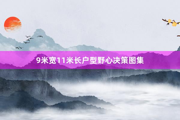 9米宽11米长户型野心决策图集